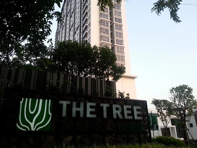 เดอะ ทรี บางโพ